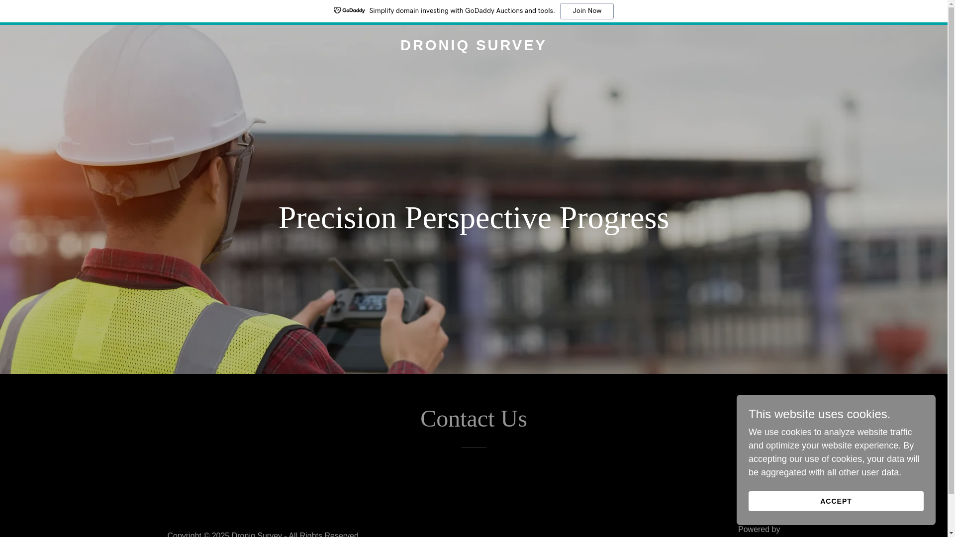 website screenshot of https://droniqsurvey.com/