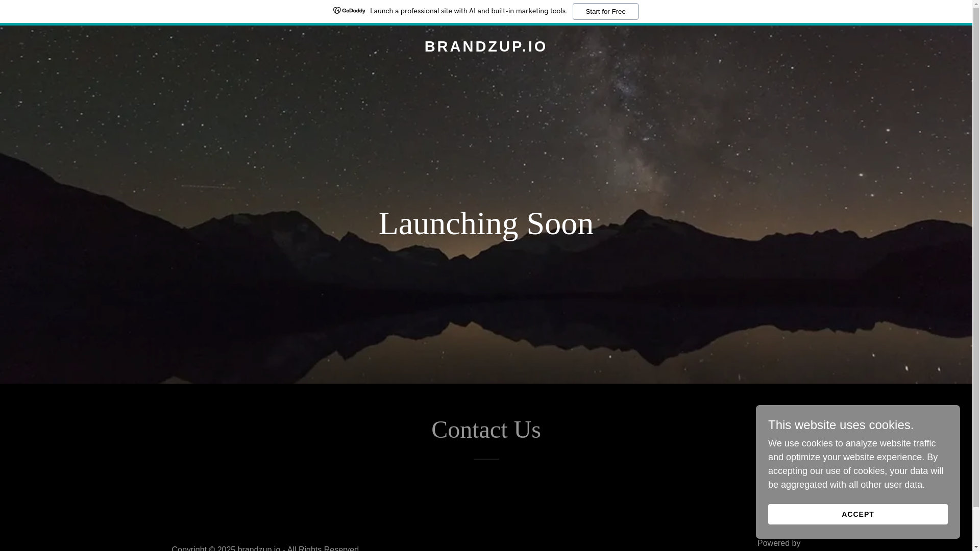 website screenshot of https://brandzup.io/