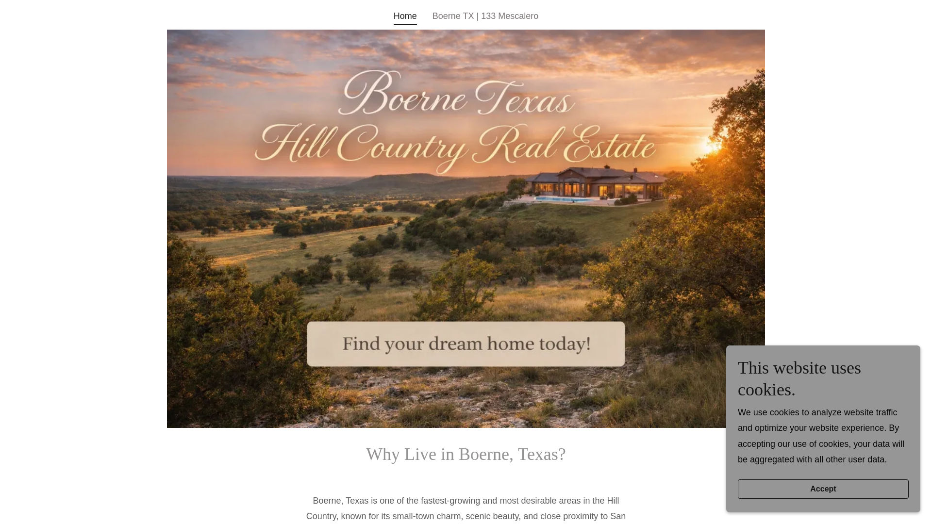 website screenshot of https://boernetxhouseforsale.com/