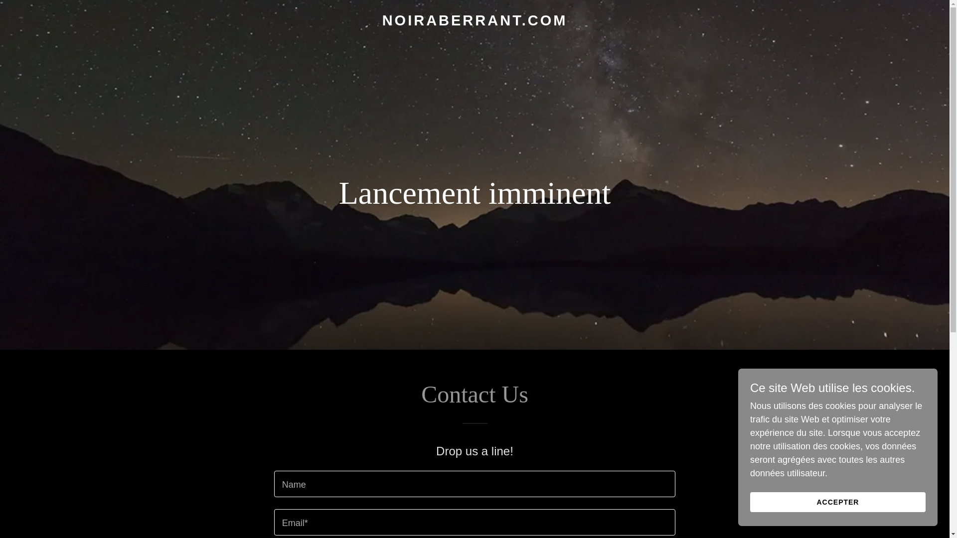 website screenshot of https://noiraberrant.com/