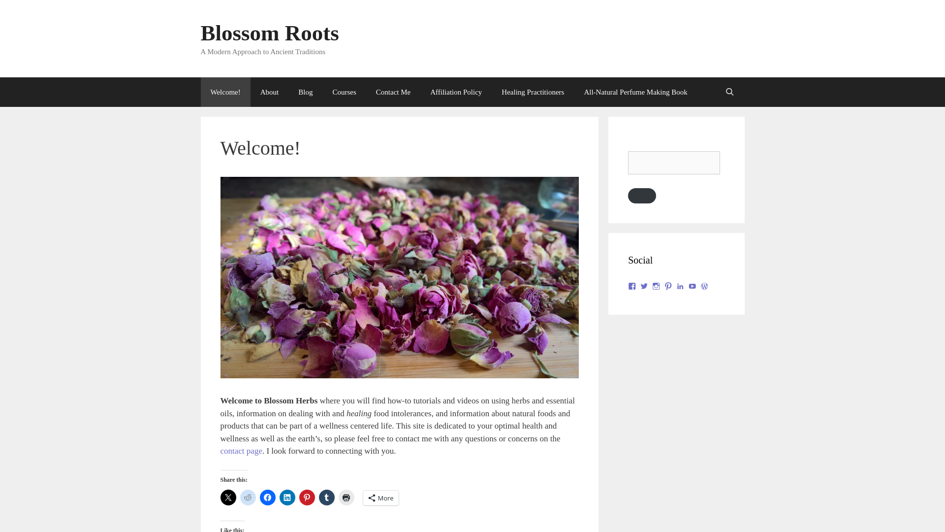 website screenshot of https://blossomroots.org