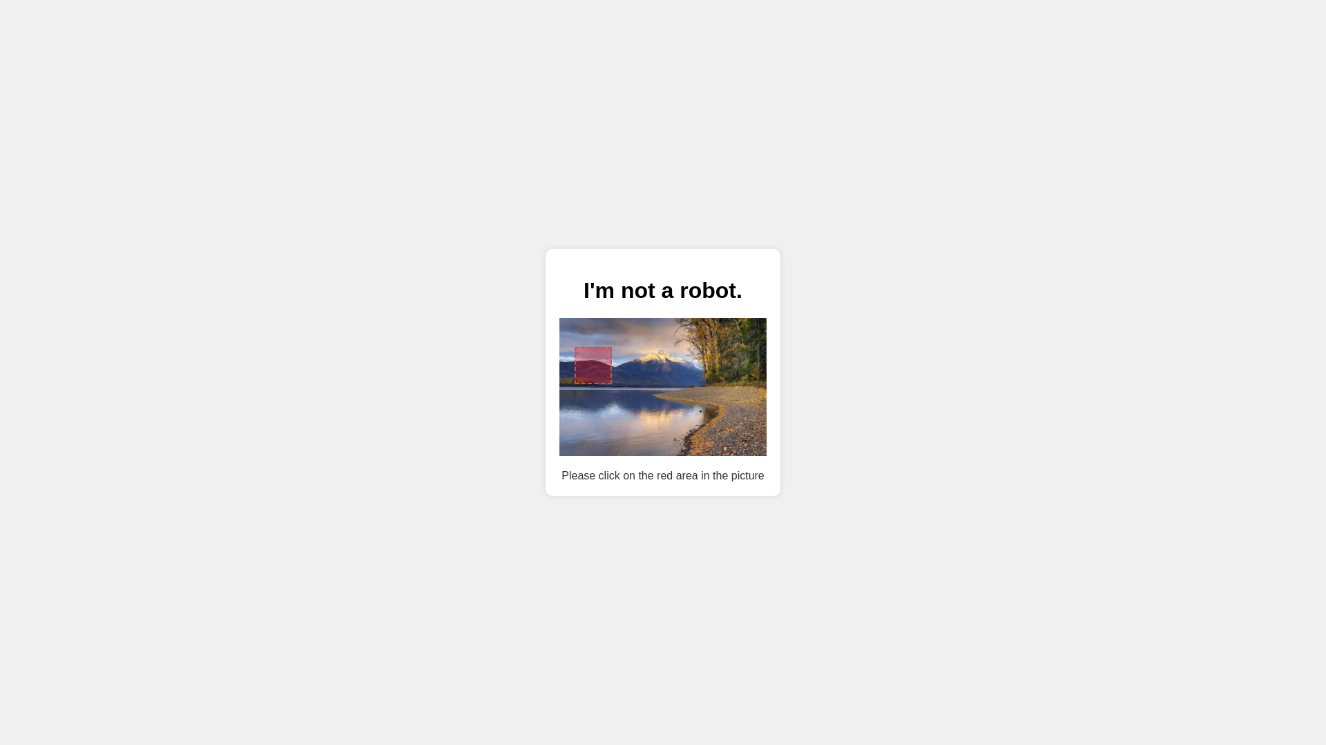 website screenshot of https://hauserstore.shop/