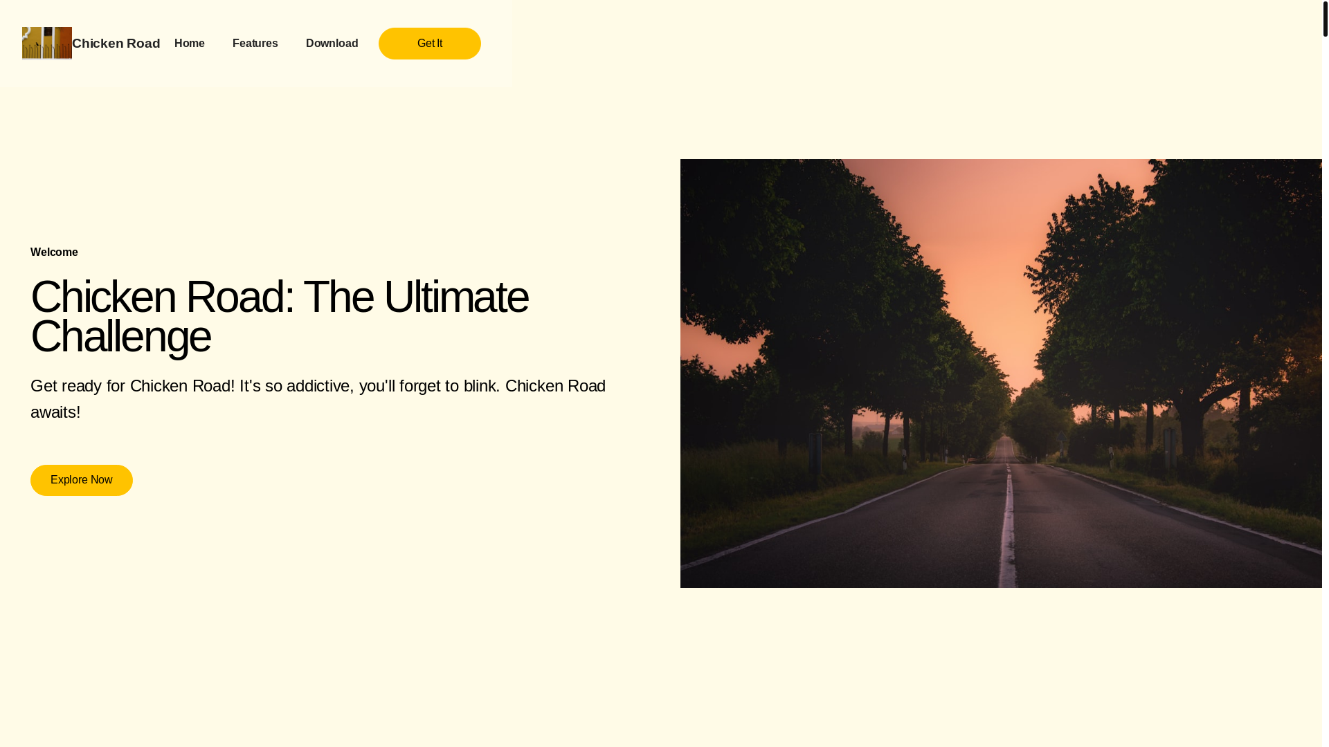 website screenshot of https://chickenroadlasdjz.info/