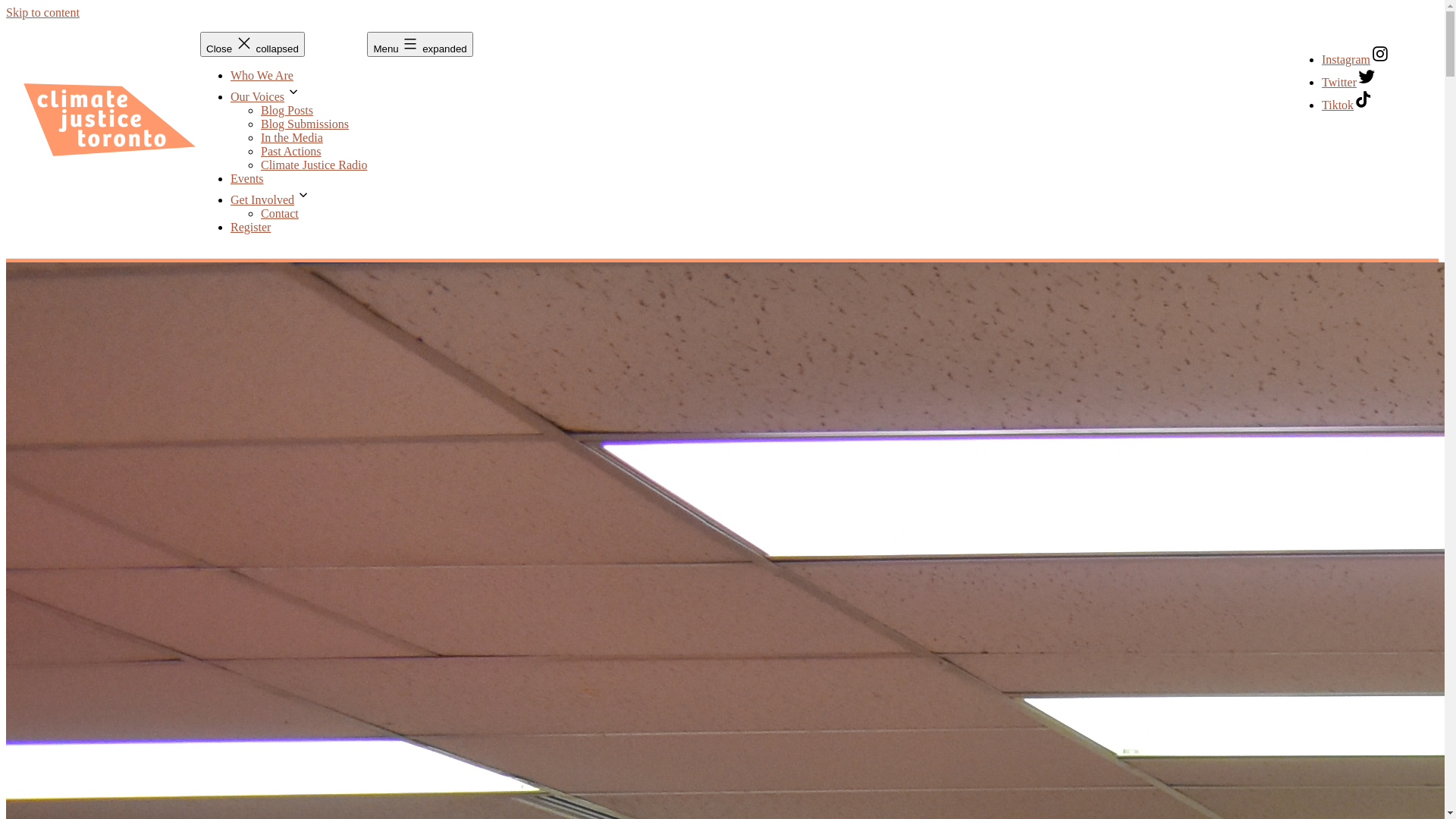 website screenshot of https://cjto.org/