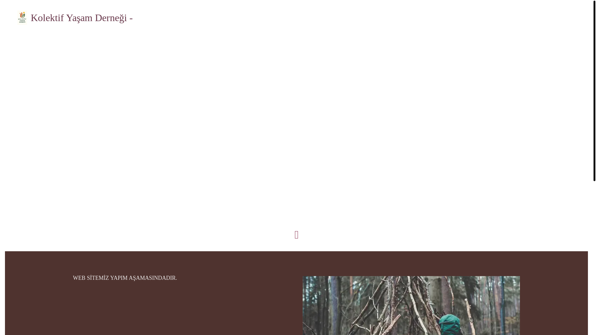 website screenshot of https://kolektifyasam.org/