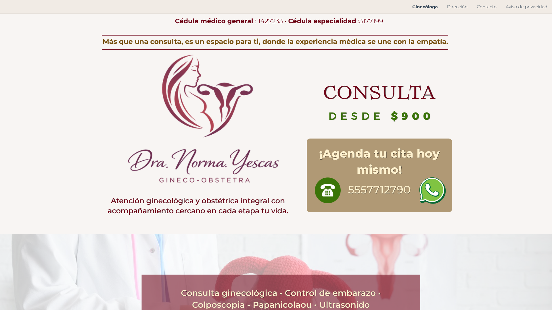 website screenshot of https://dranormayescas.com/