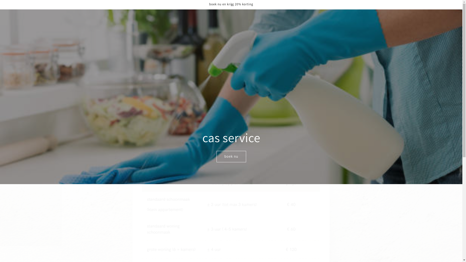 website screenshot of https://casservice.store/
