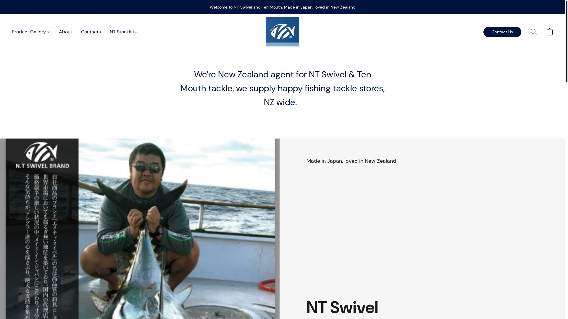 website screenshot of https://ntswivel.com/