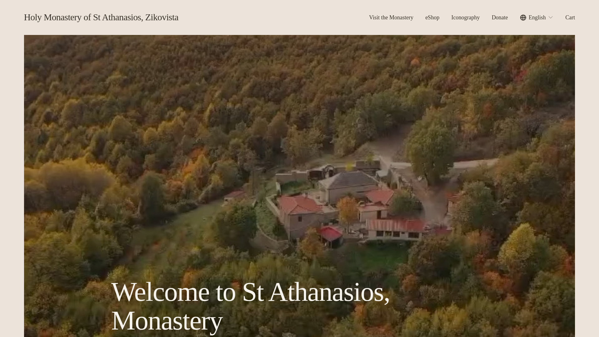 website screenshot of https://zikovista.com