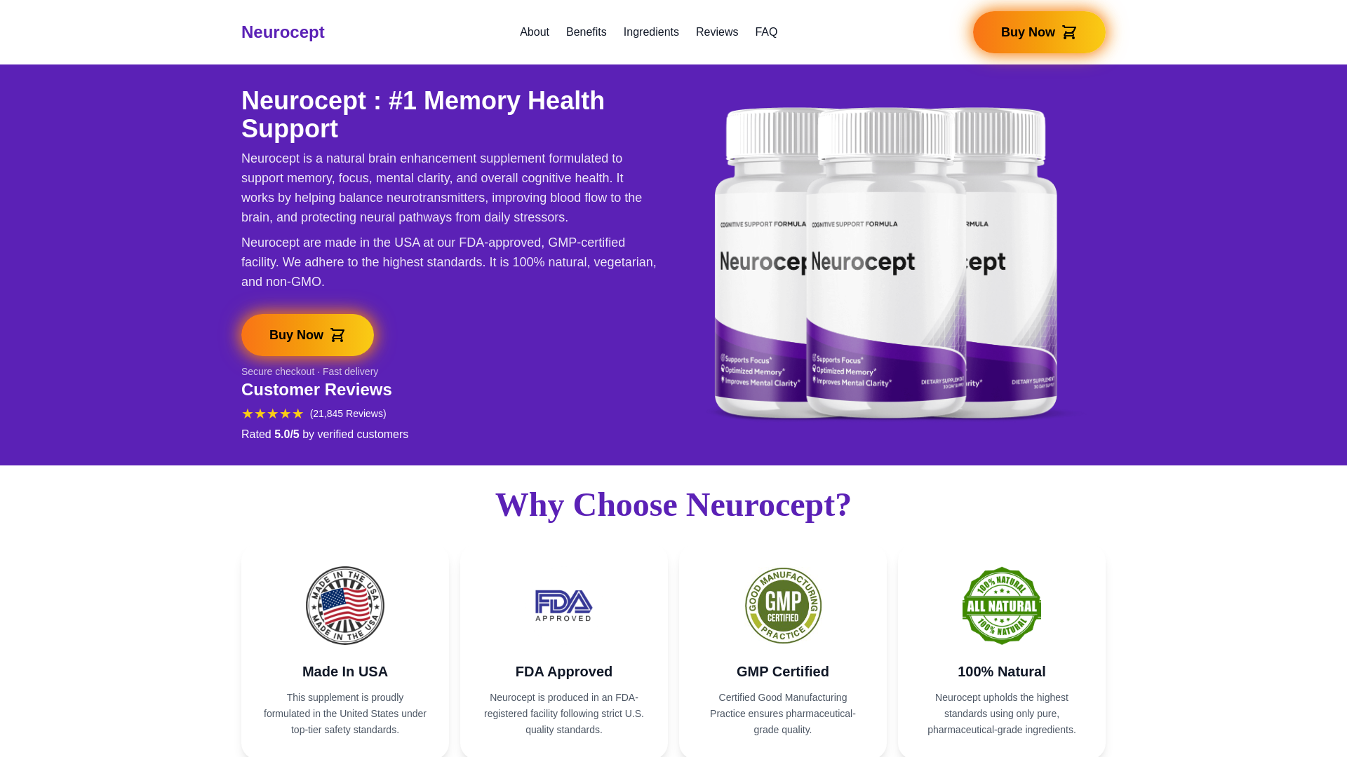 website screenshot of https://neurocept.one/