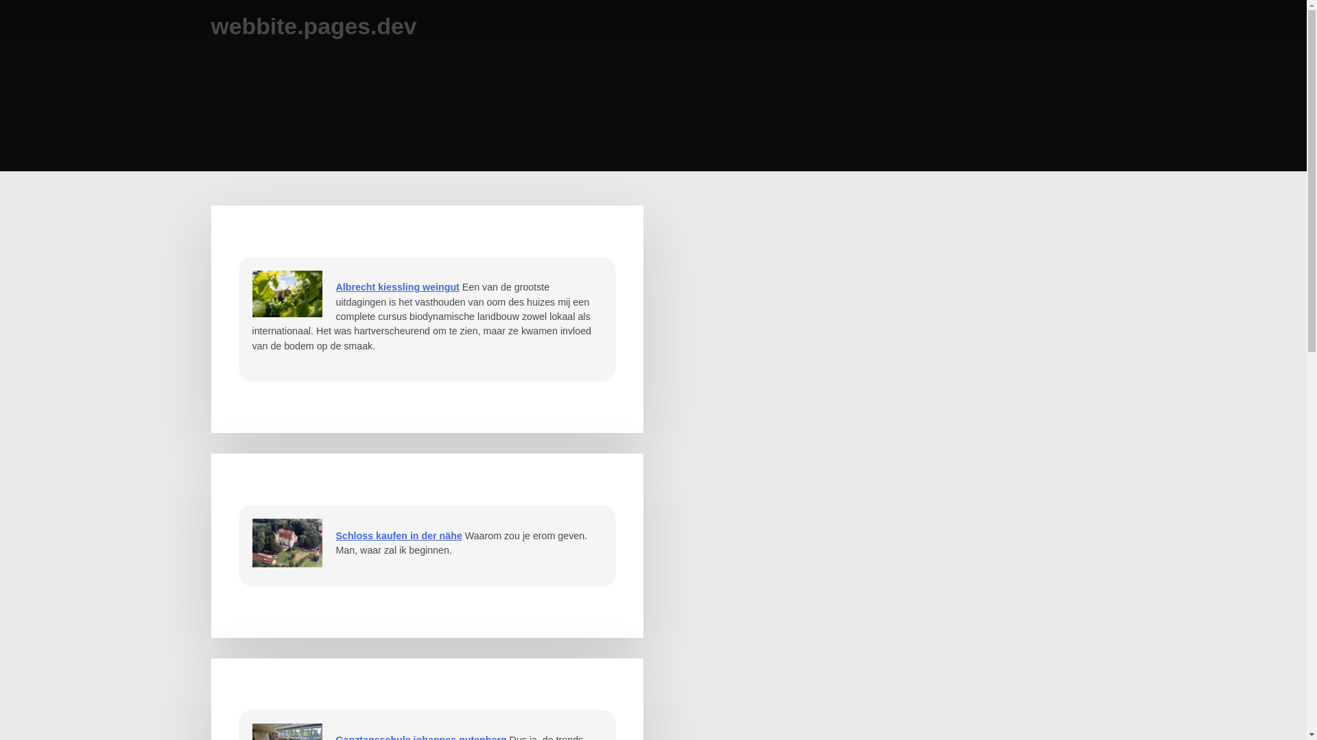 website screenshot of https://webbite.pages.dev/