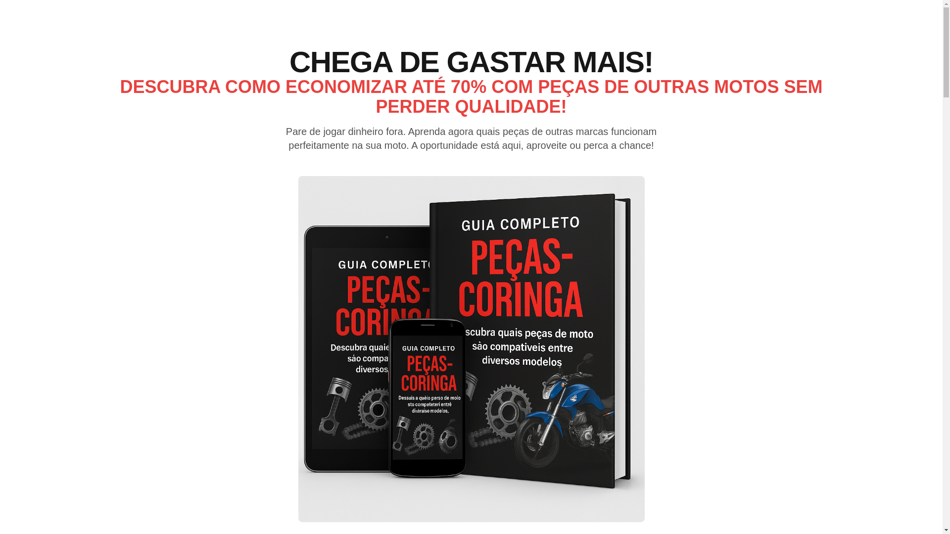 website screenshot of https://pecascoringaomanual.site/
