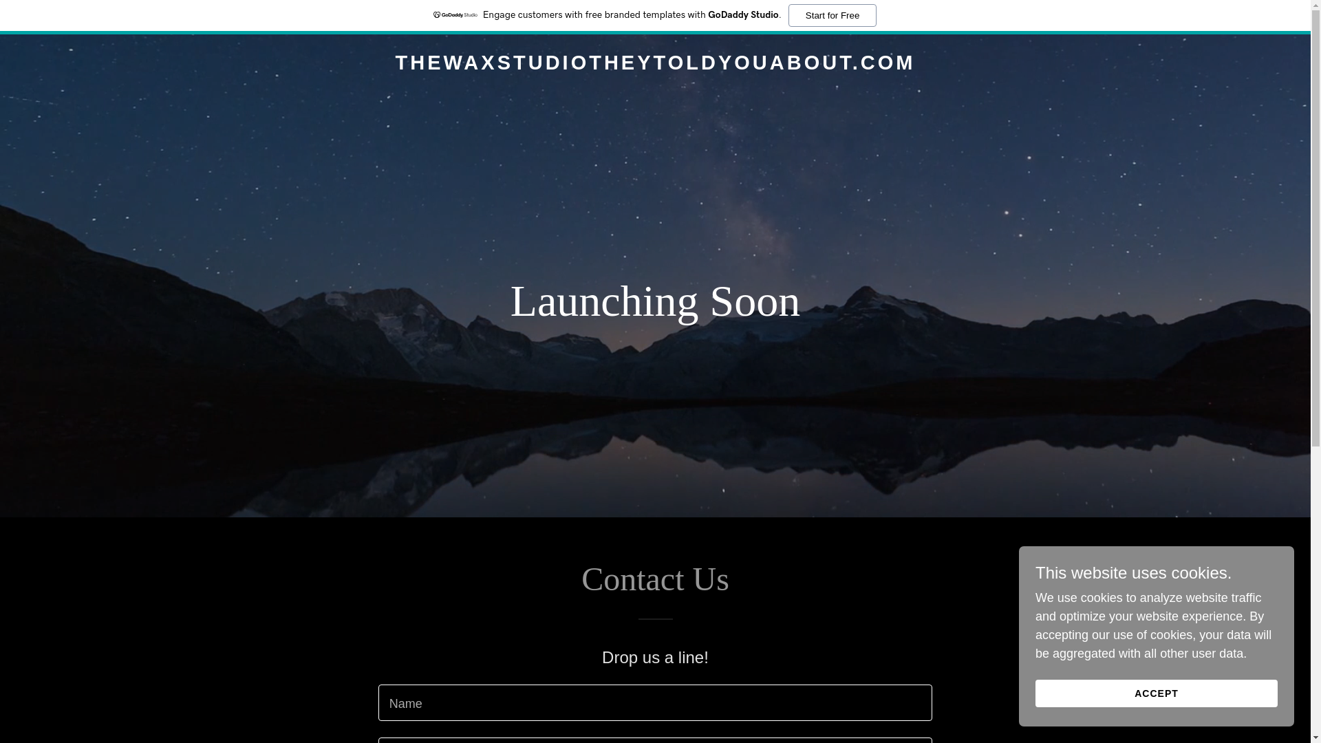 website screenshot of https://thewaxstudiotheytoldyouabout.com/
