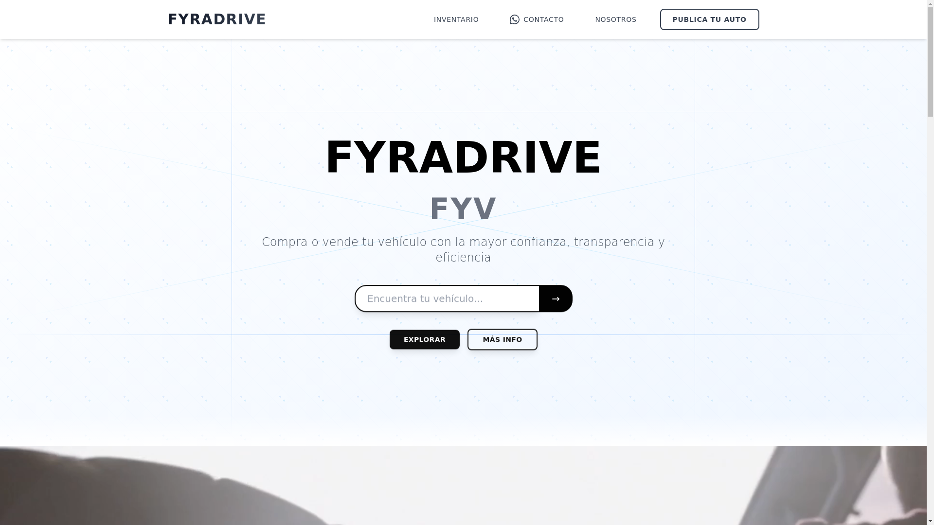 website screenshot of https://fyradrive.com/