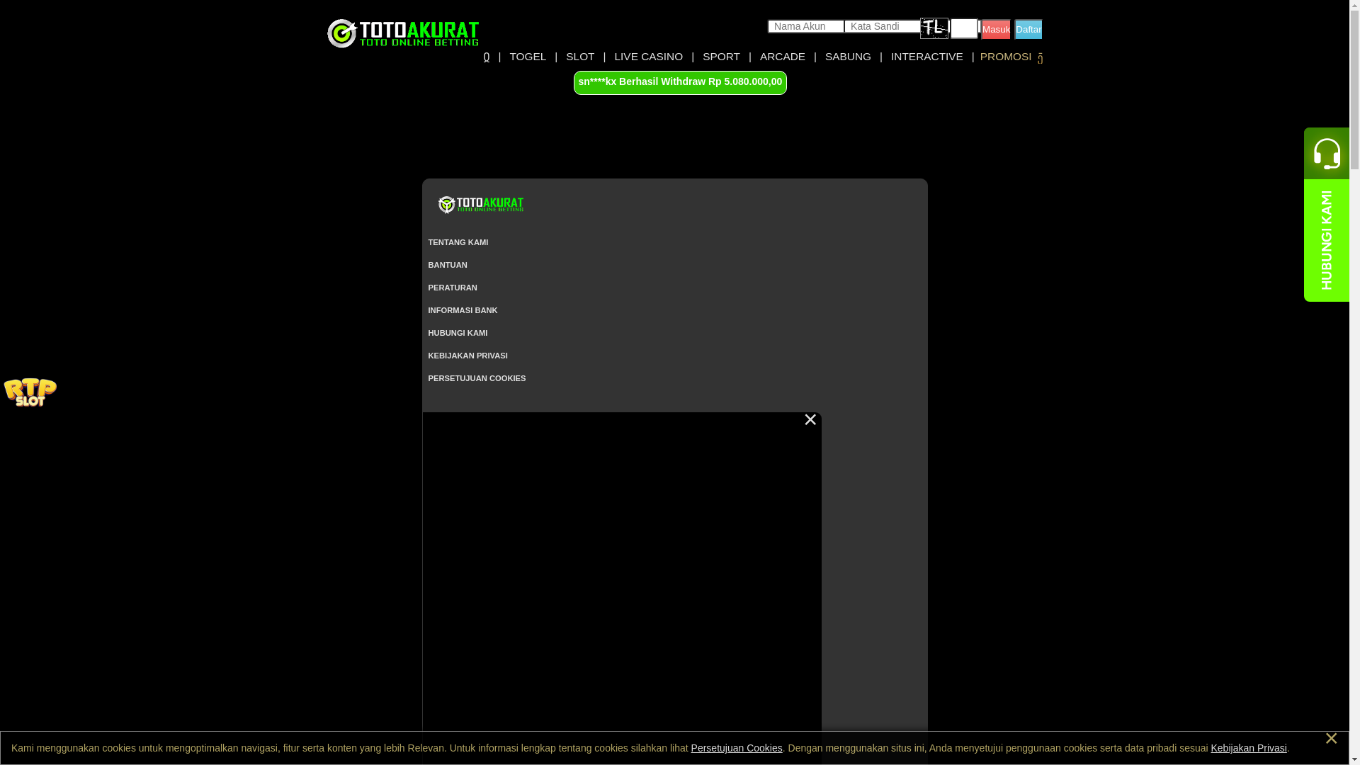 website screenshot of https://leveltops.site/