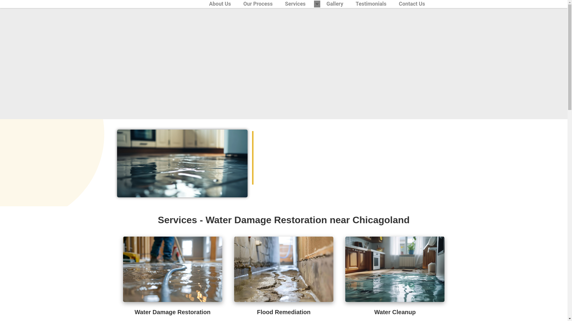 website screenshot of https://floodrestorationnearchicagoland.com/