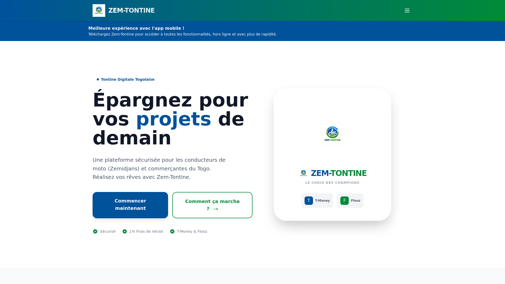 website screenshot of https://zemtontine.com