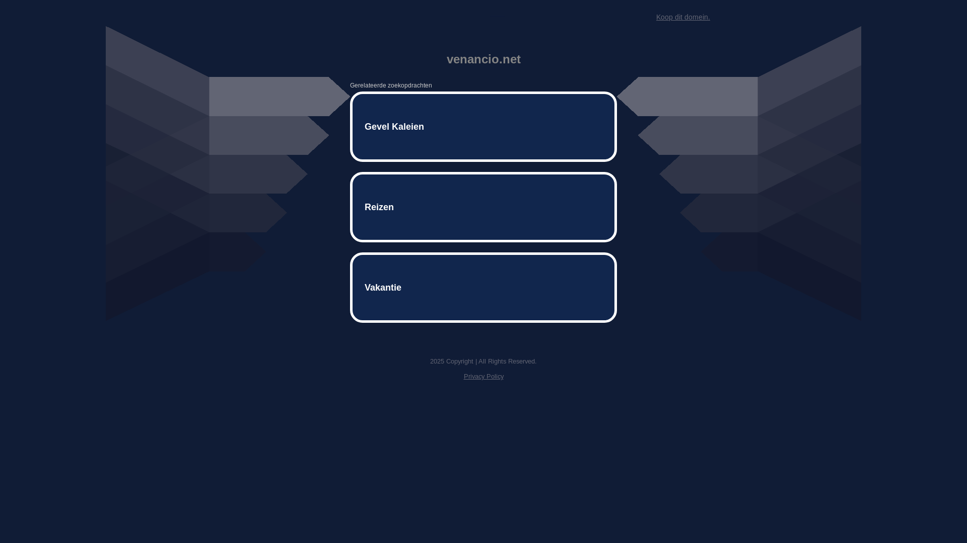 website screenshot of https://venancio.net/