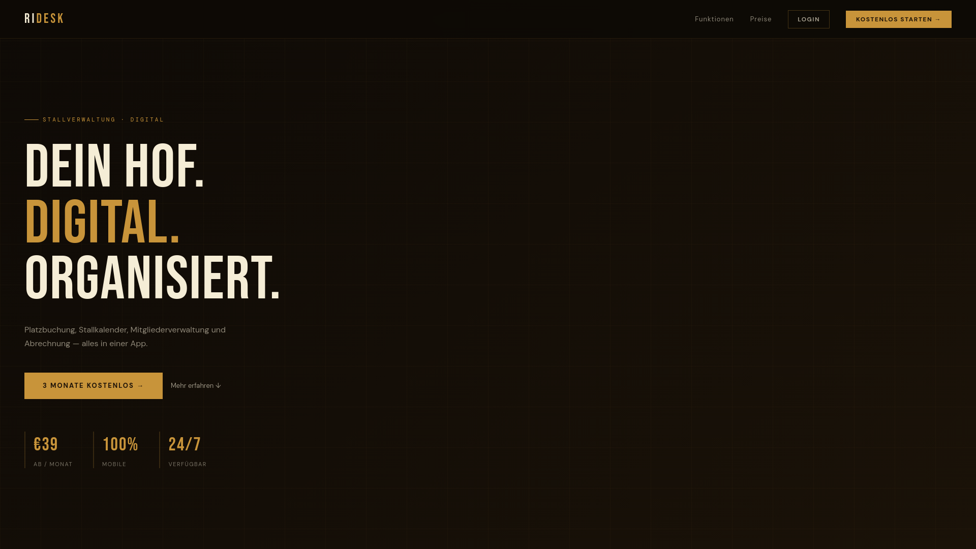 website screenshot of https://ridesk.de