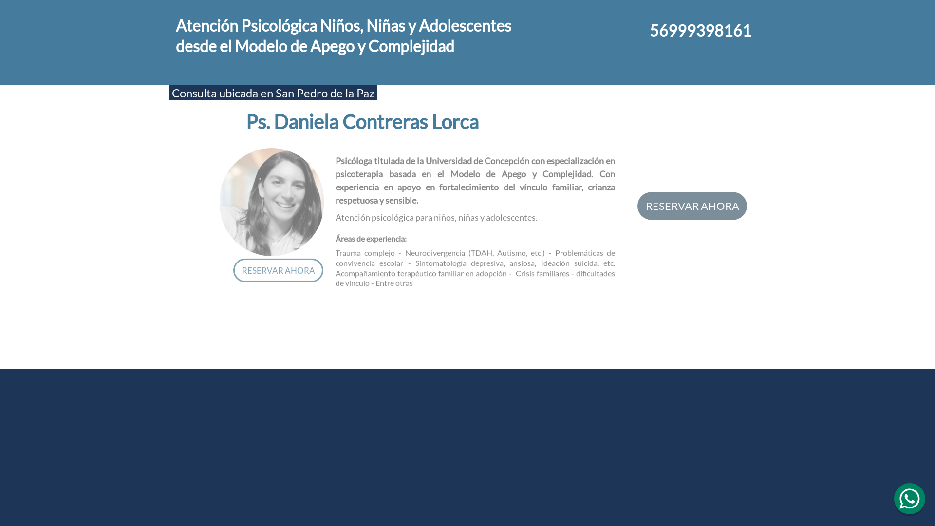 website screenshot of https://psdanielacontreraslorca.cl/