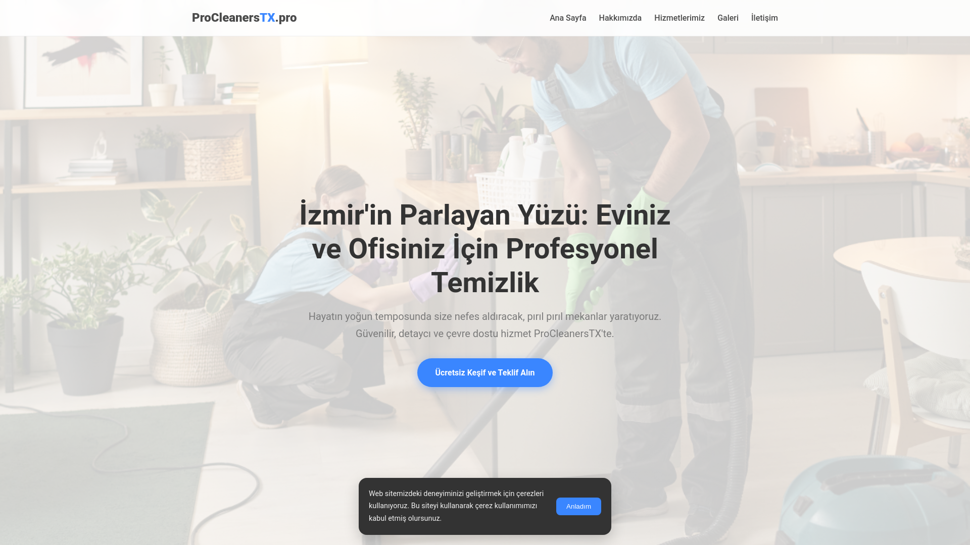 website screenshot of https://procleanerstx.pro/