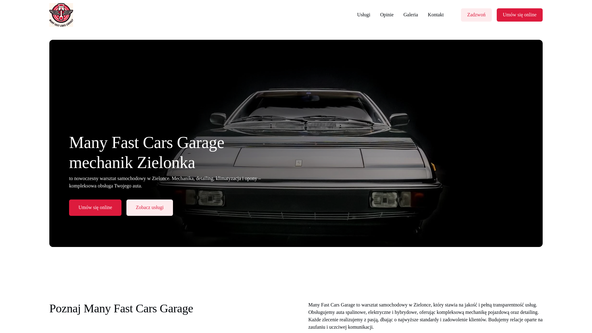 website screenshot of https://manyfastcarsgarage.com.pl/