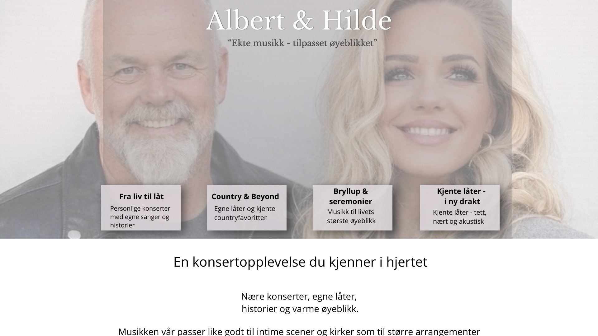 website screenshot of https://albertoghilde.no