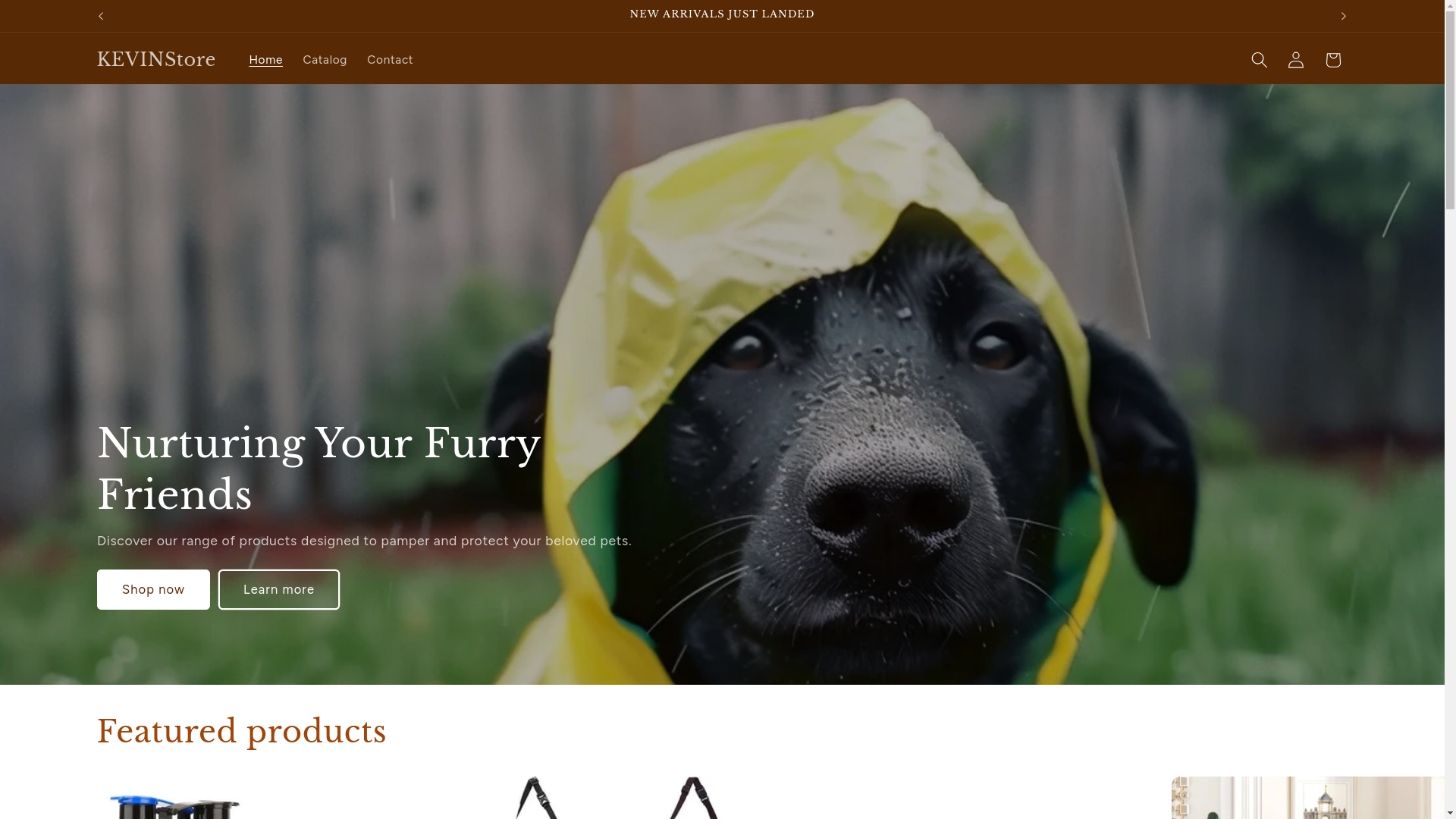 website screenshot of https://kevinst.shop/