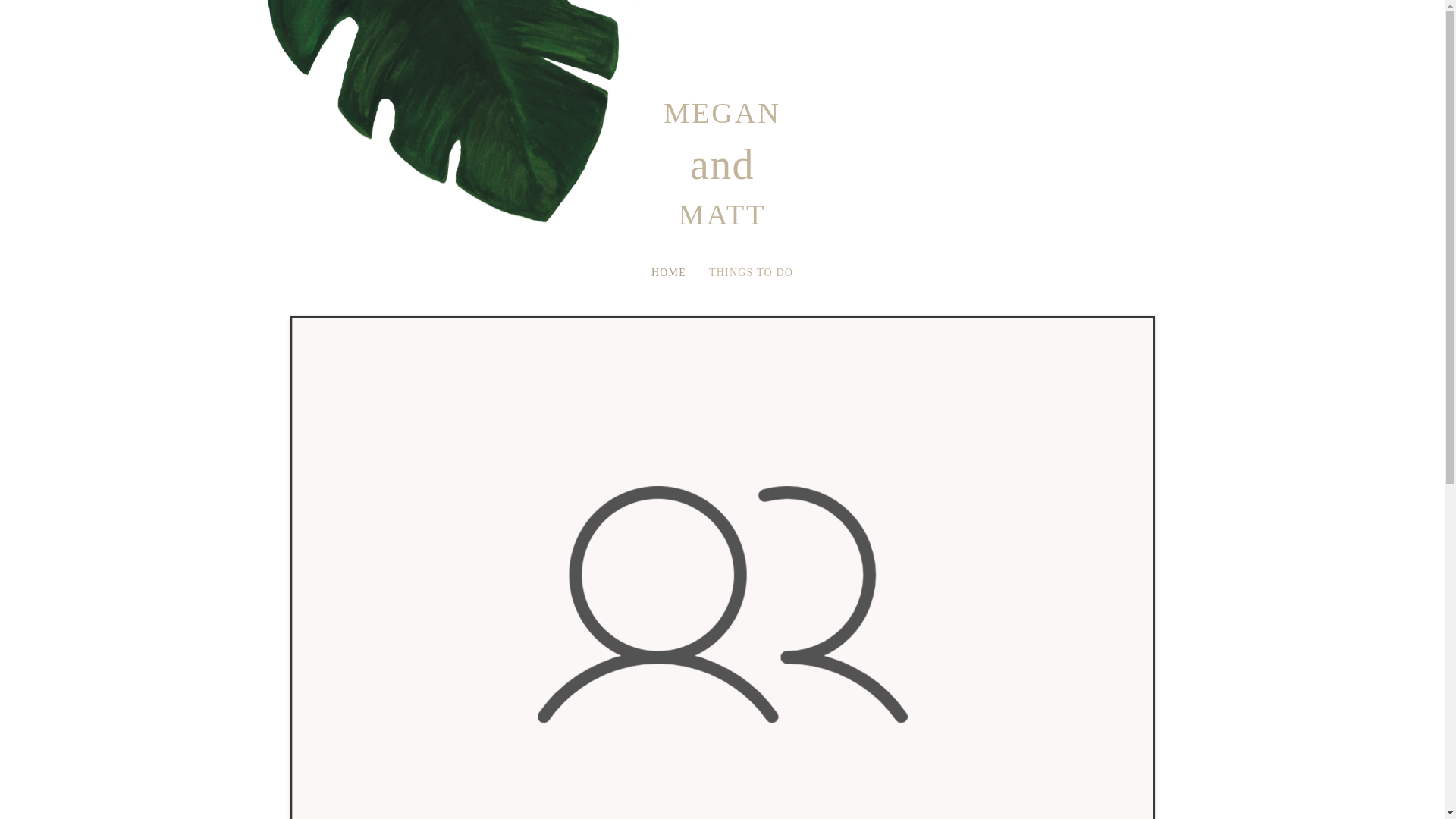 website screenshot of https://meganandmattcostarica.com/