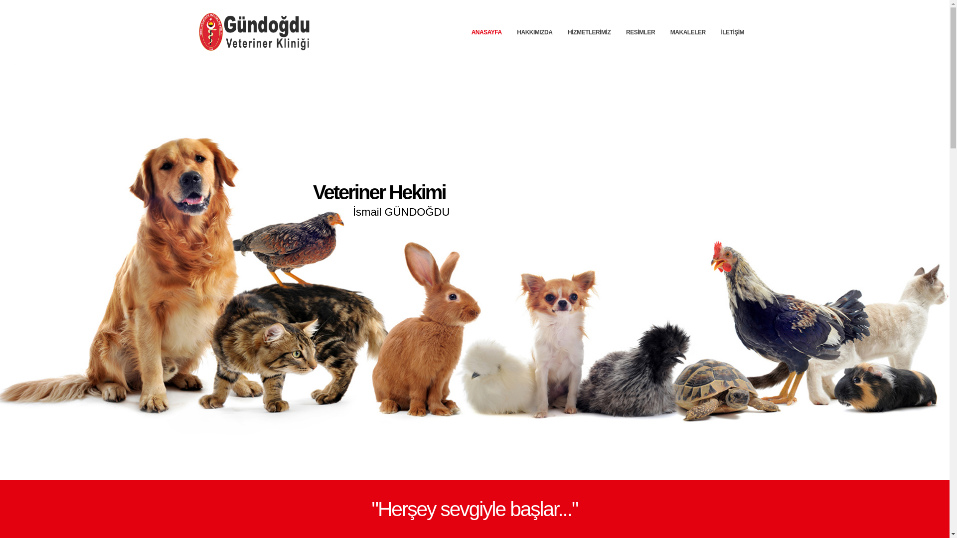 website screenshot of https://gundogduveteriner.com.tr/