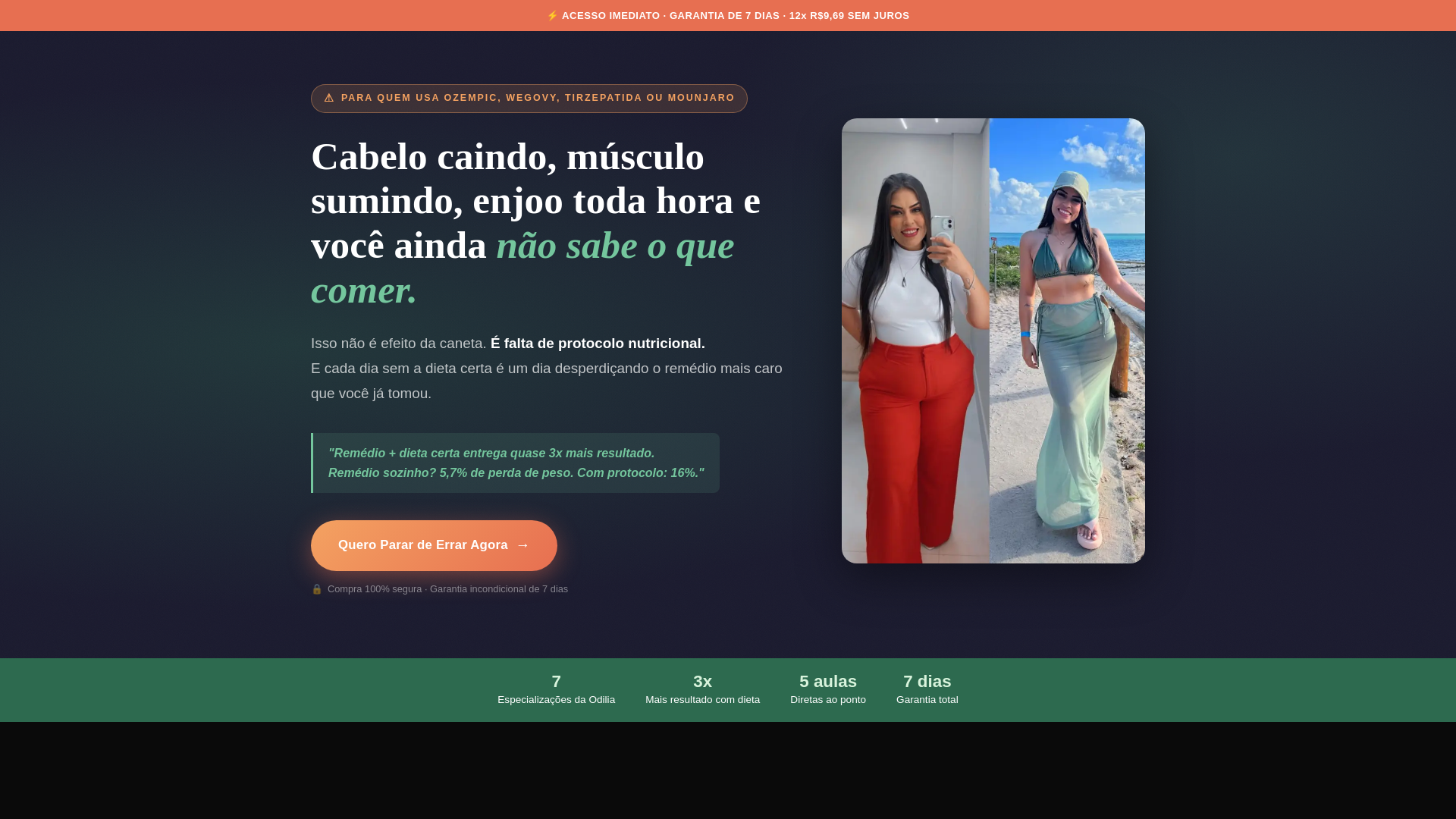 website screenshot of https://dietadascanetas.com.br