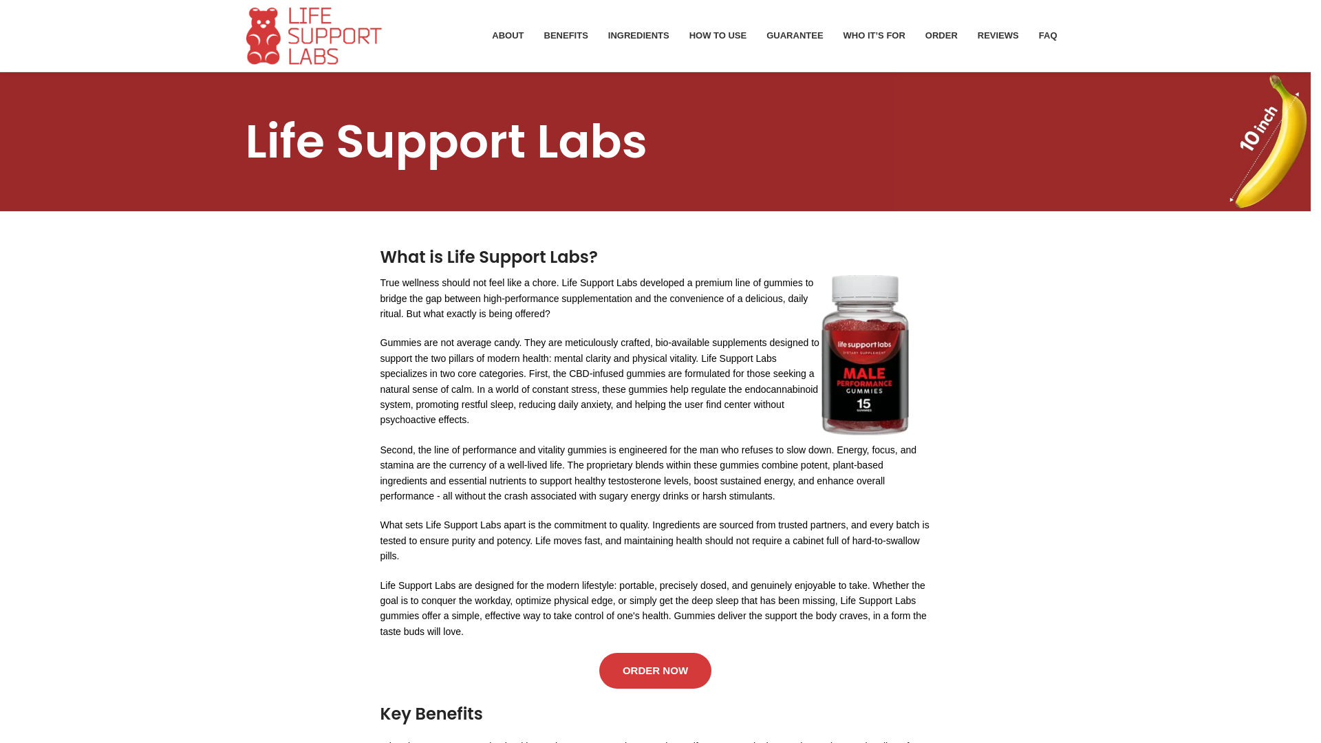website screenshot of https://lifesupportlabsgummies.com/