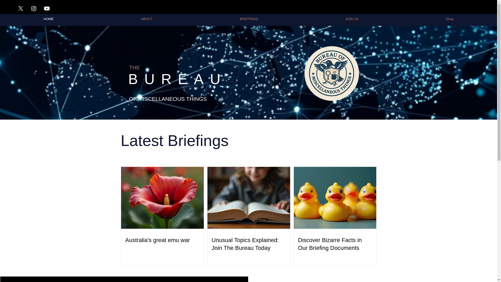 website screenshot of https://bureauofmiscthings.com/