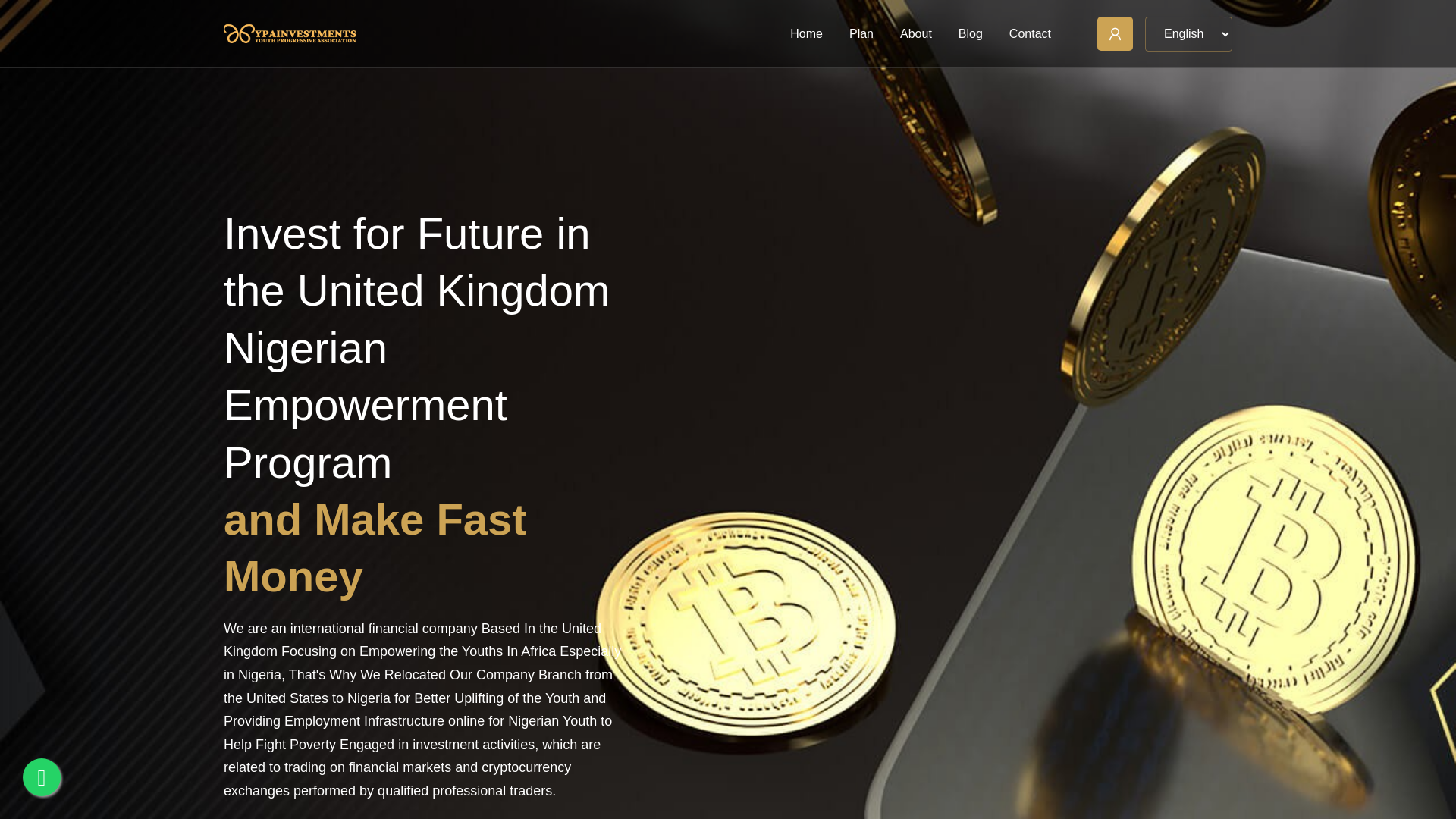 website screenshot of http://ypainvestments.com