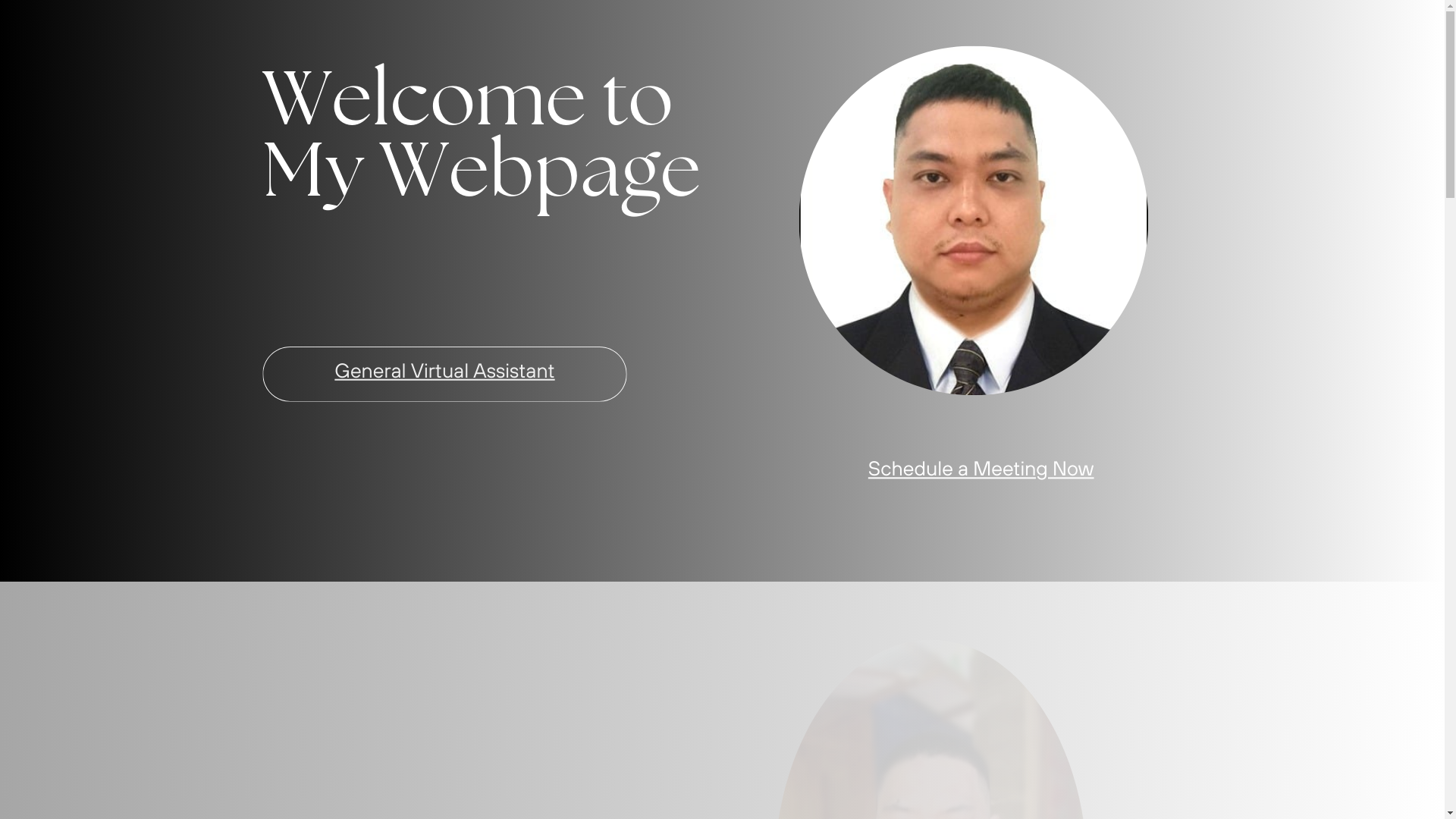 website screenshot of https://carlozapanta.com/