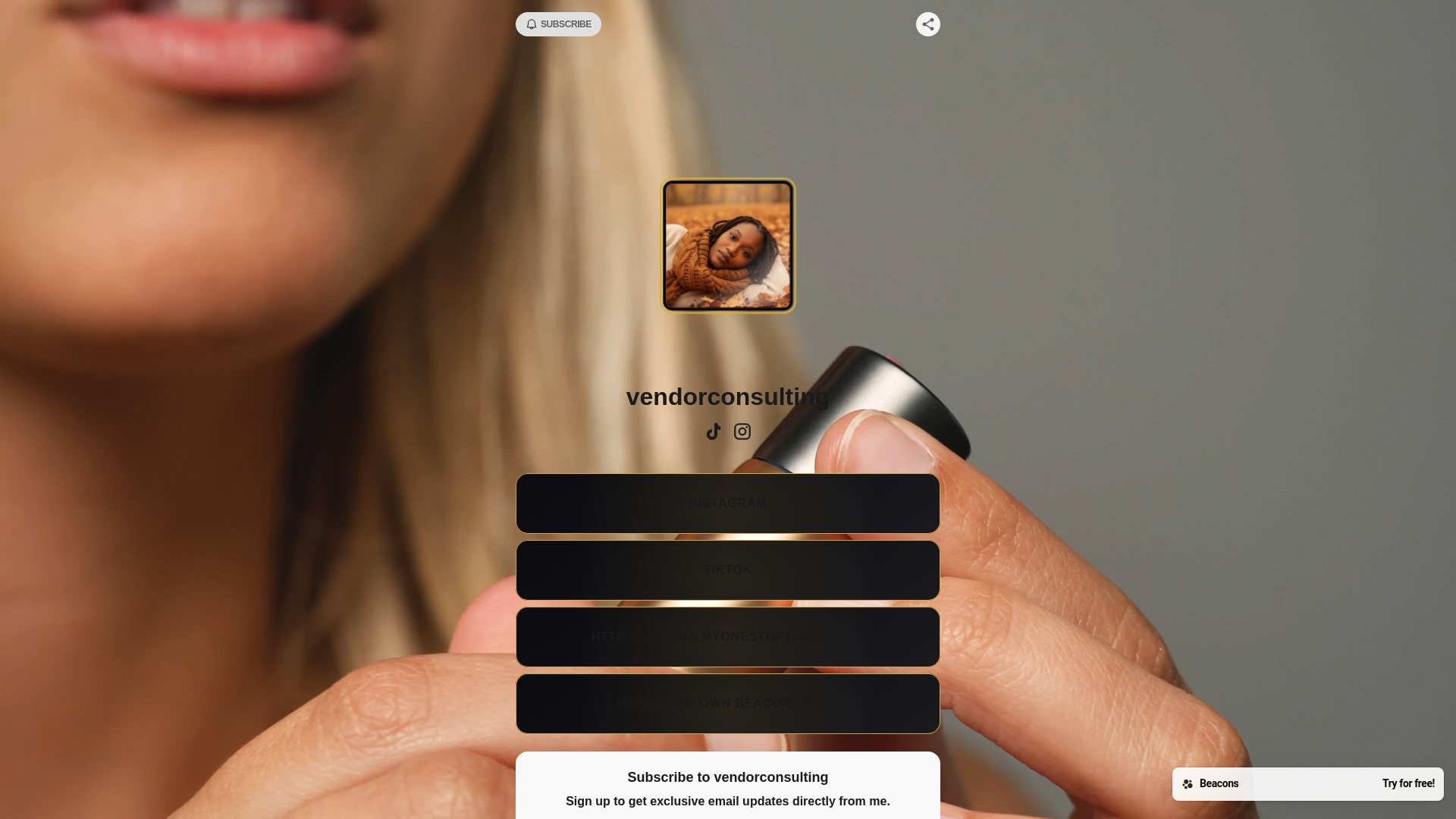 website screenshot of https://vendorconsulting.store/