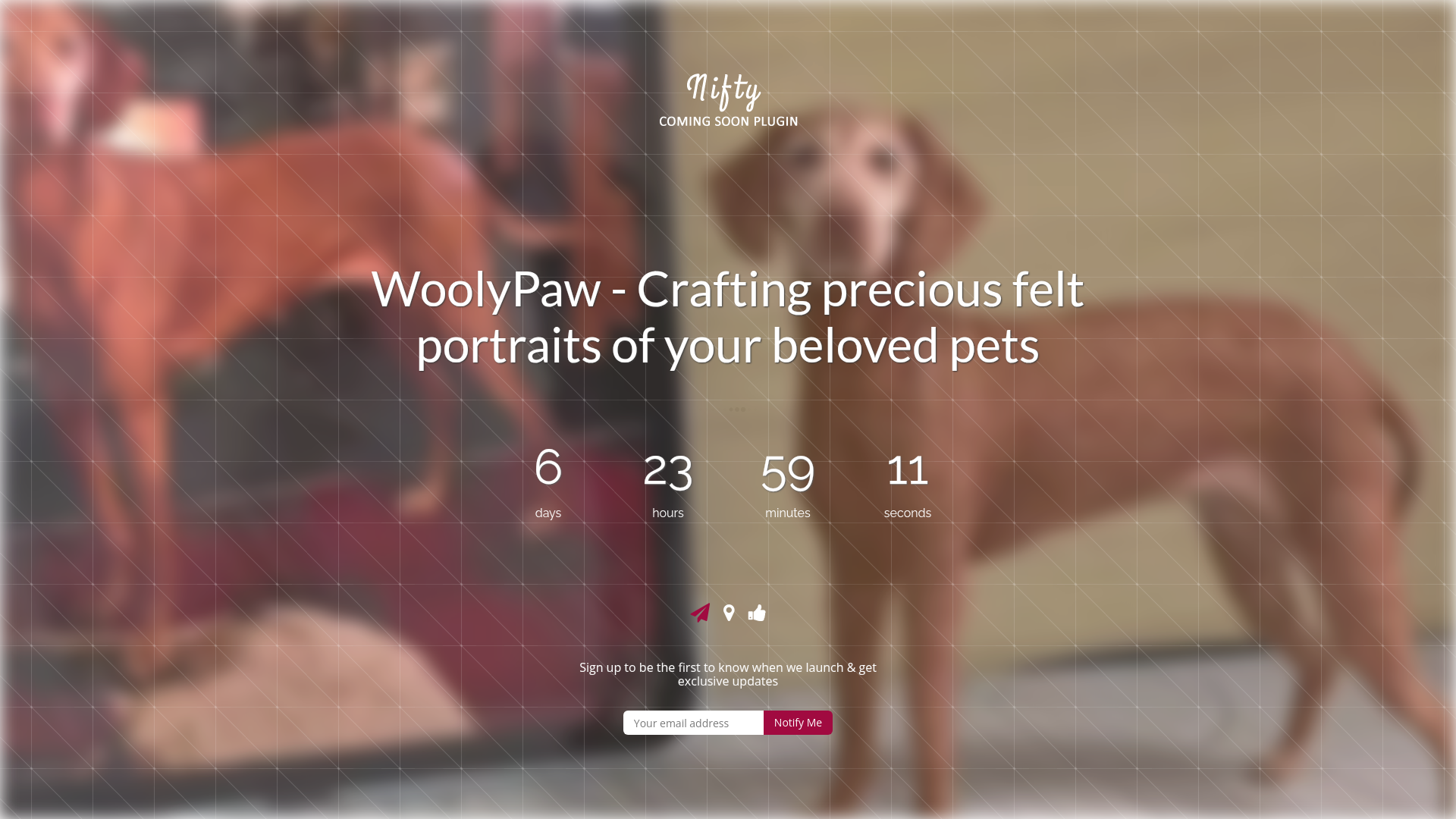 website screenshot of https://woolypaw.com/