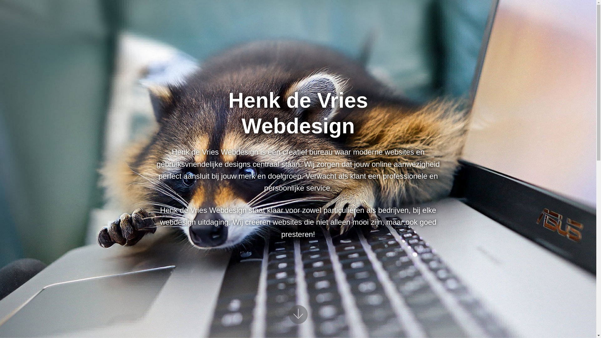 website screenshot of https://henkdevrieswebdesign.pages.dev/