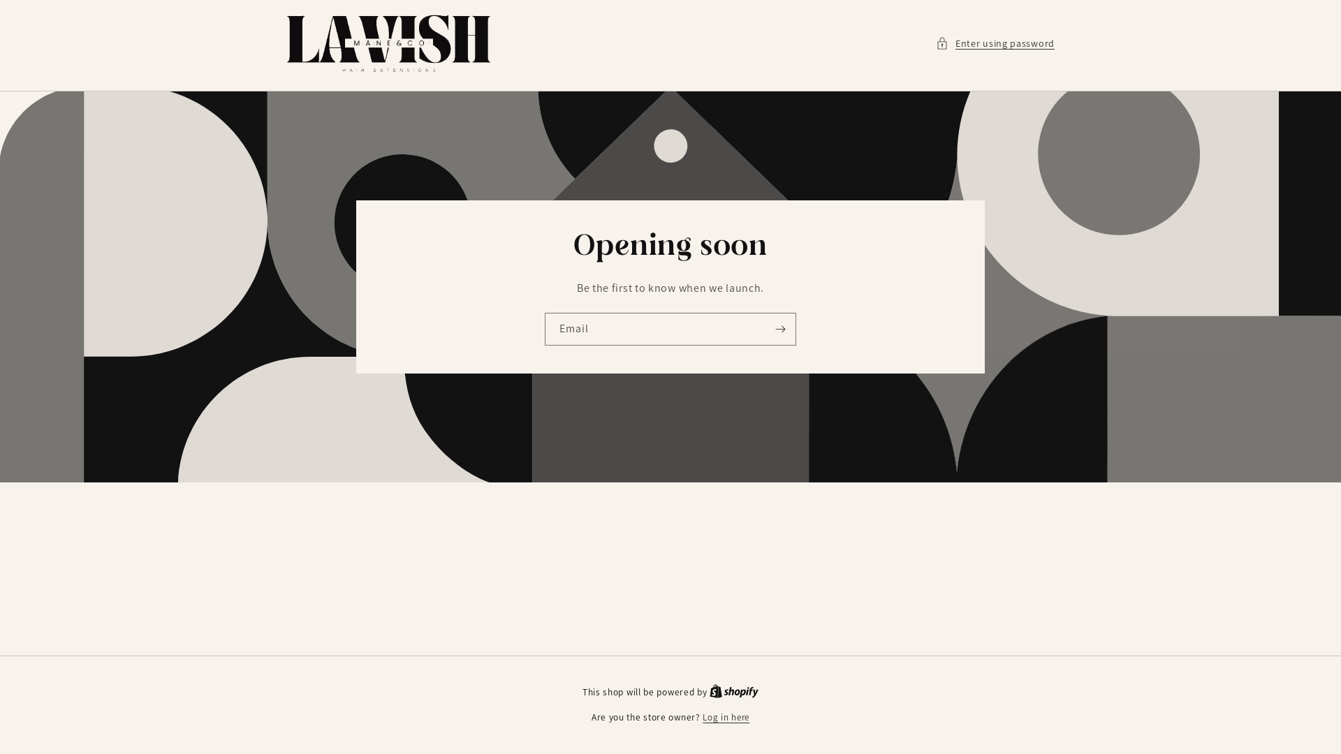 website screenshot of https://lavishmaneandco.com/