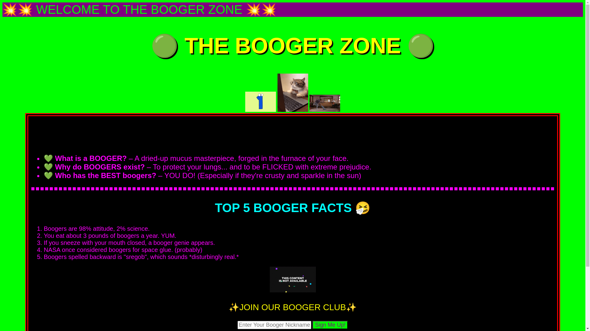 website screenshot of https://boogerzone.pages.dev/
