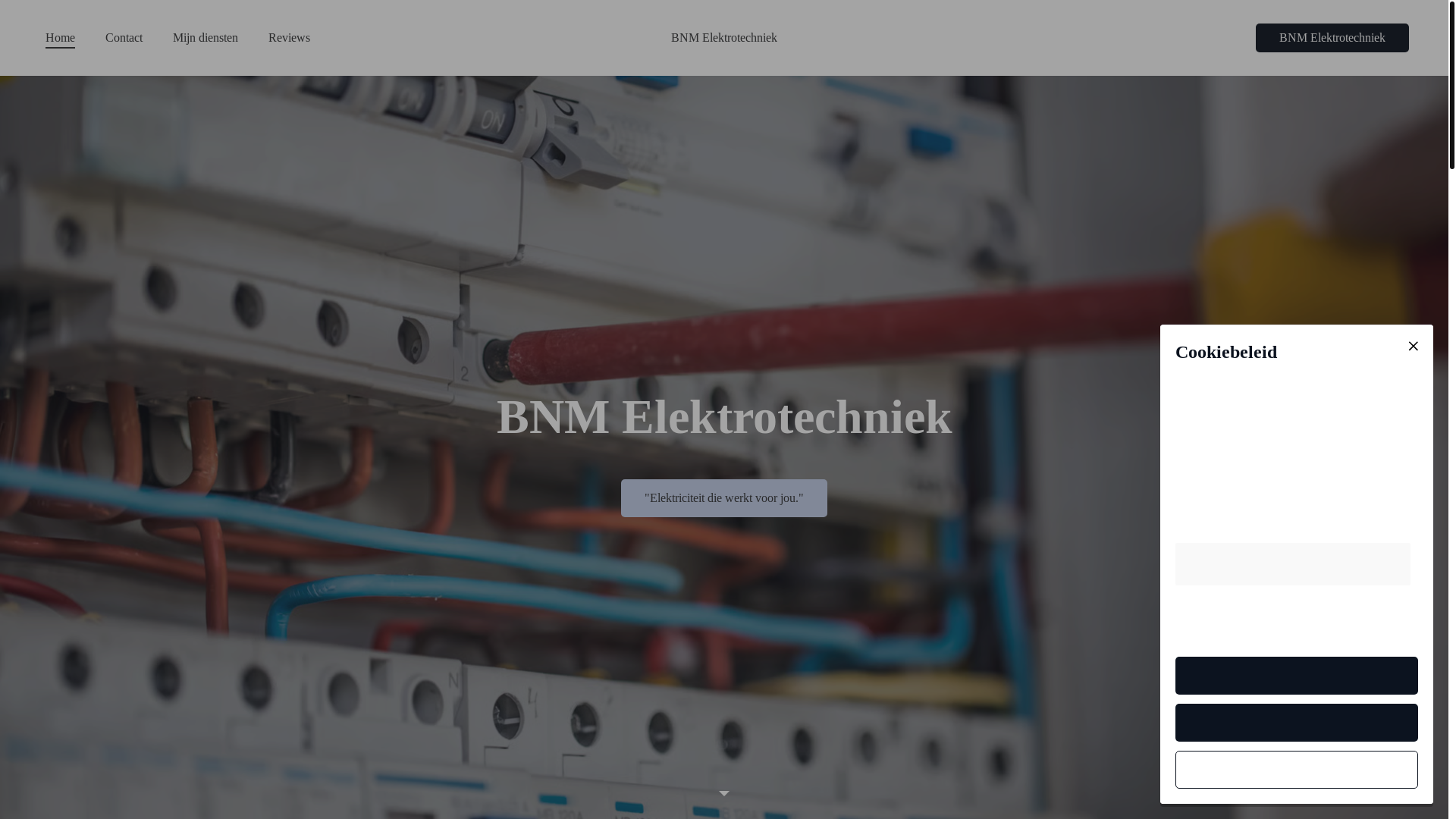 website screenshot of https://bnmelektrotechniek.com/