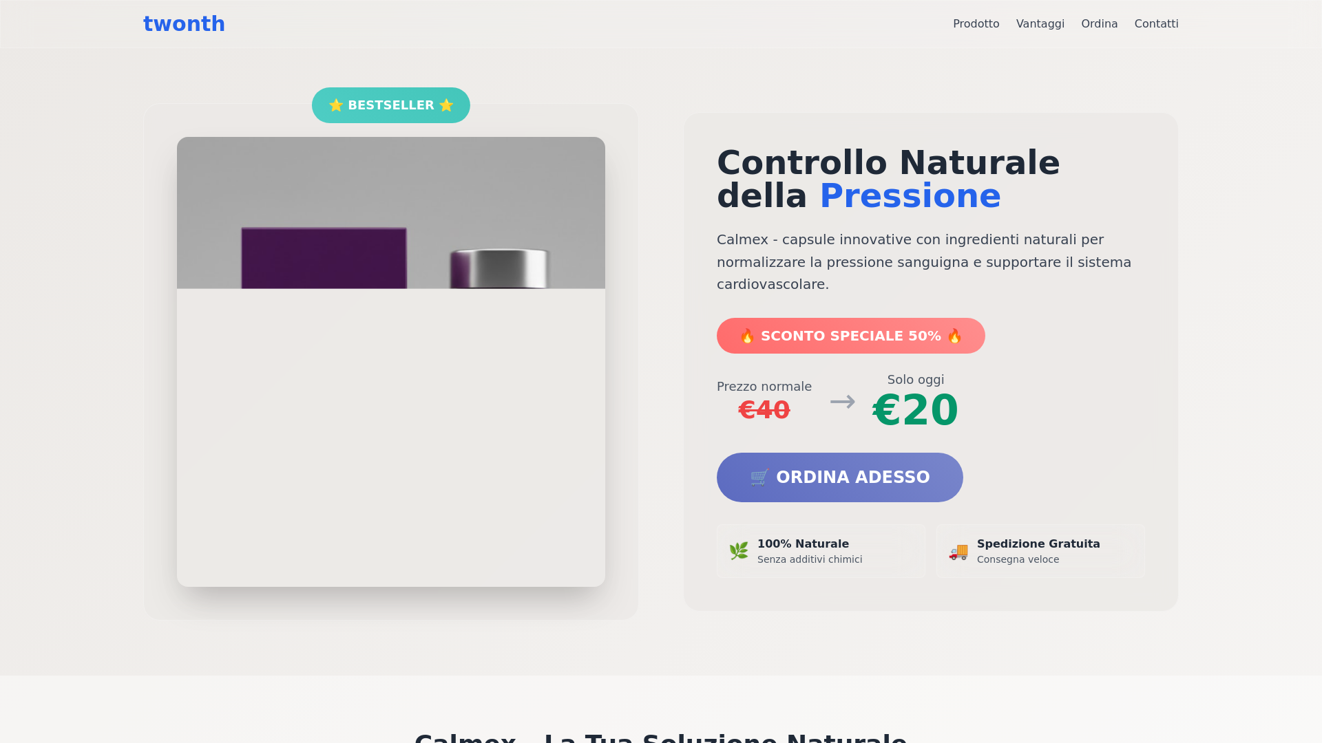 website screenshot of https://twonth.eu/