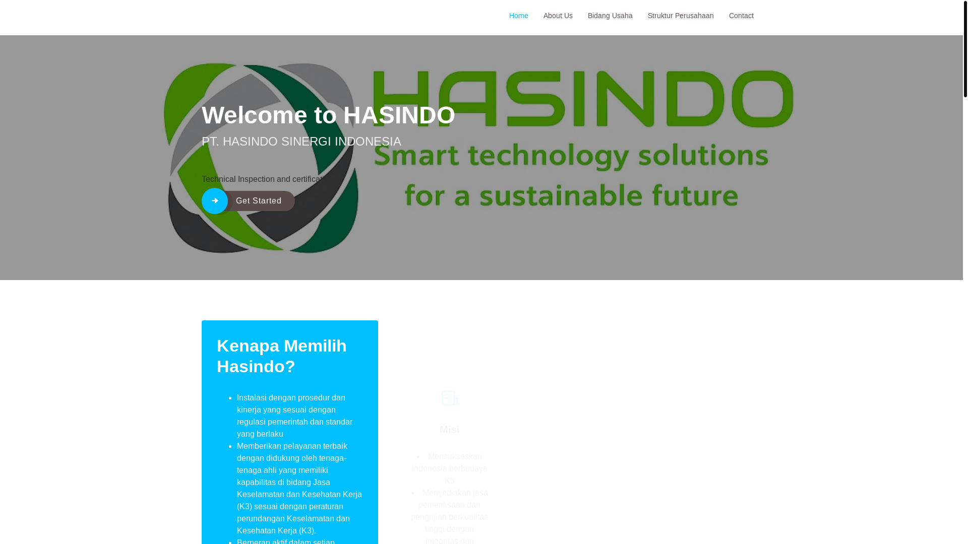 website screenshot of https://hasindo.id/