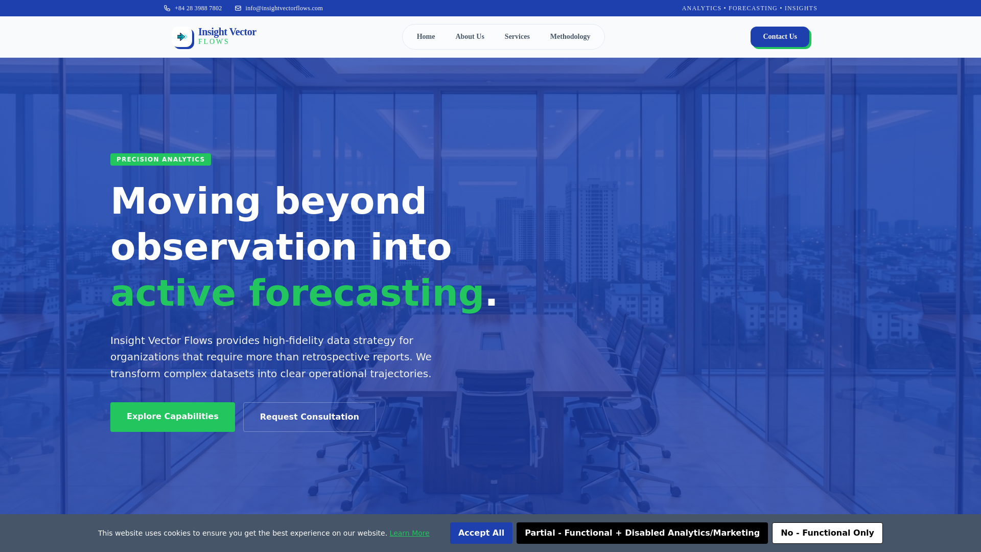website screenshot of https://insightvectorflows.com/