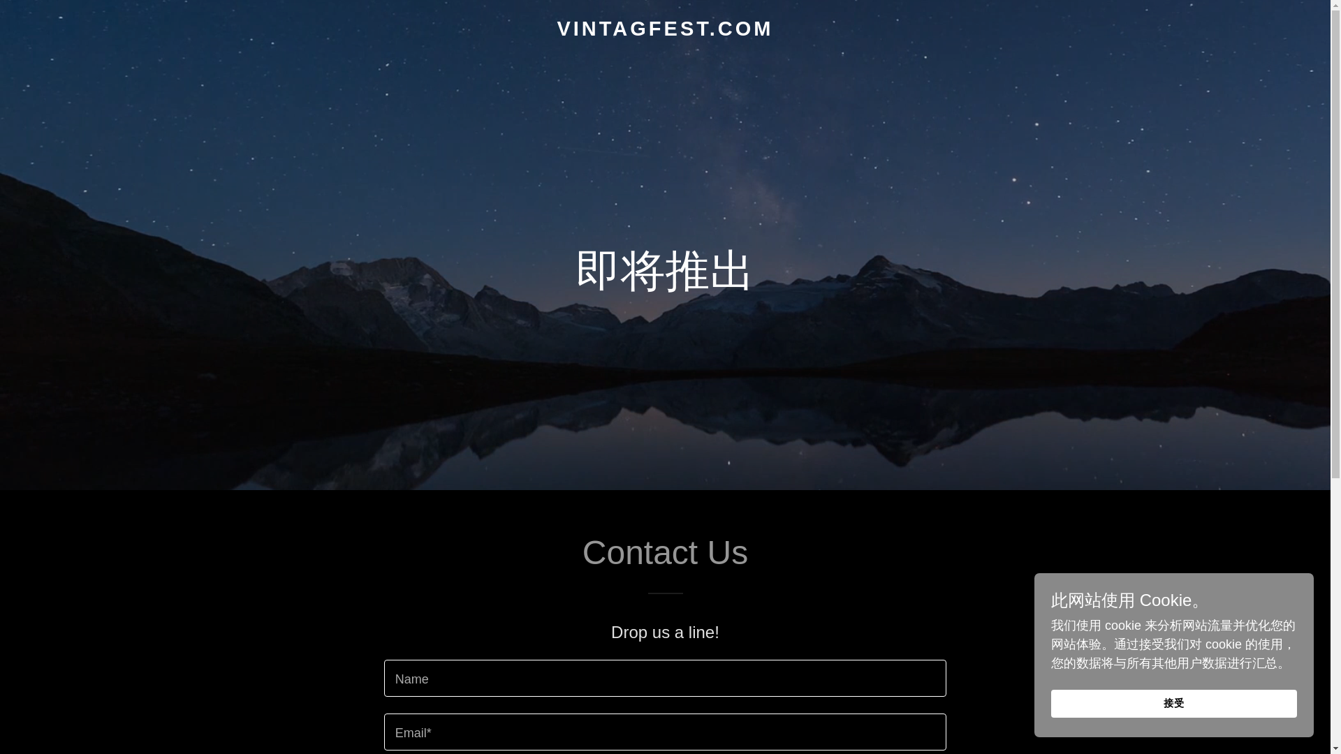 website screenshot of https://vintagfest.com/