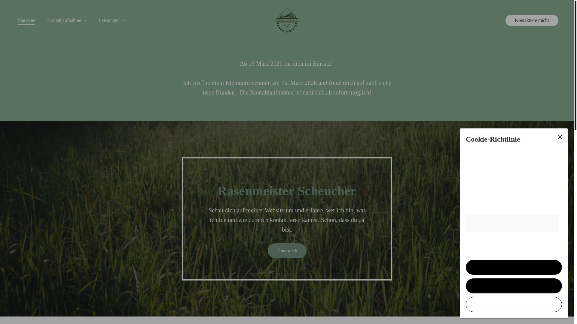 website screenshot of https://rasenmeisterscheucher.com/