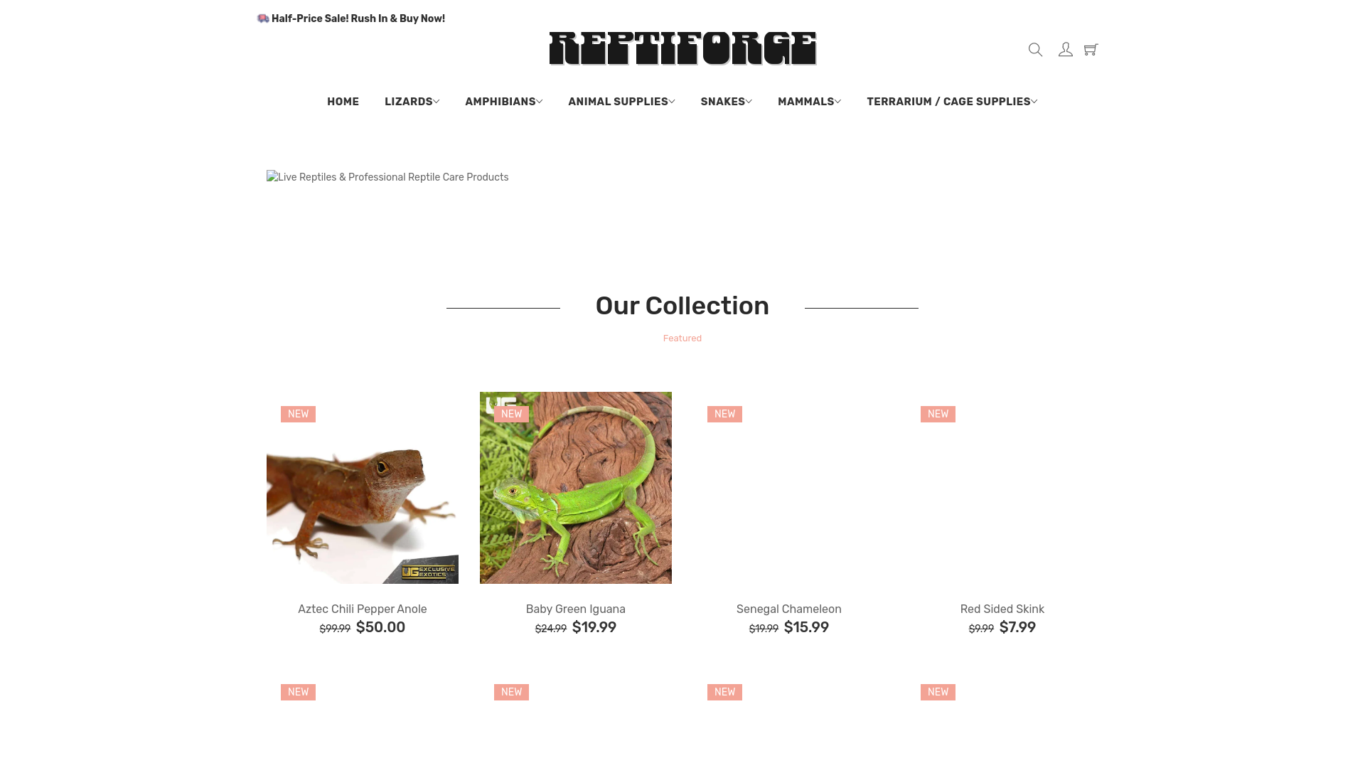 website screenshot of https://reptiforge.com