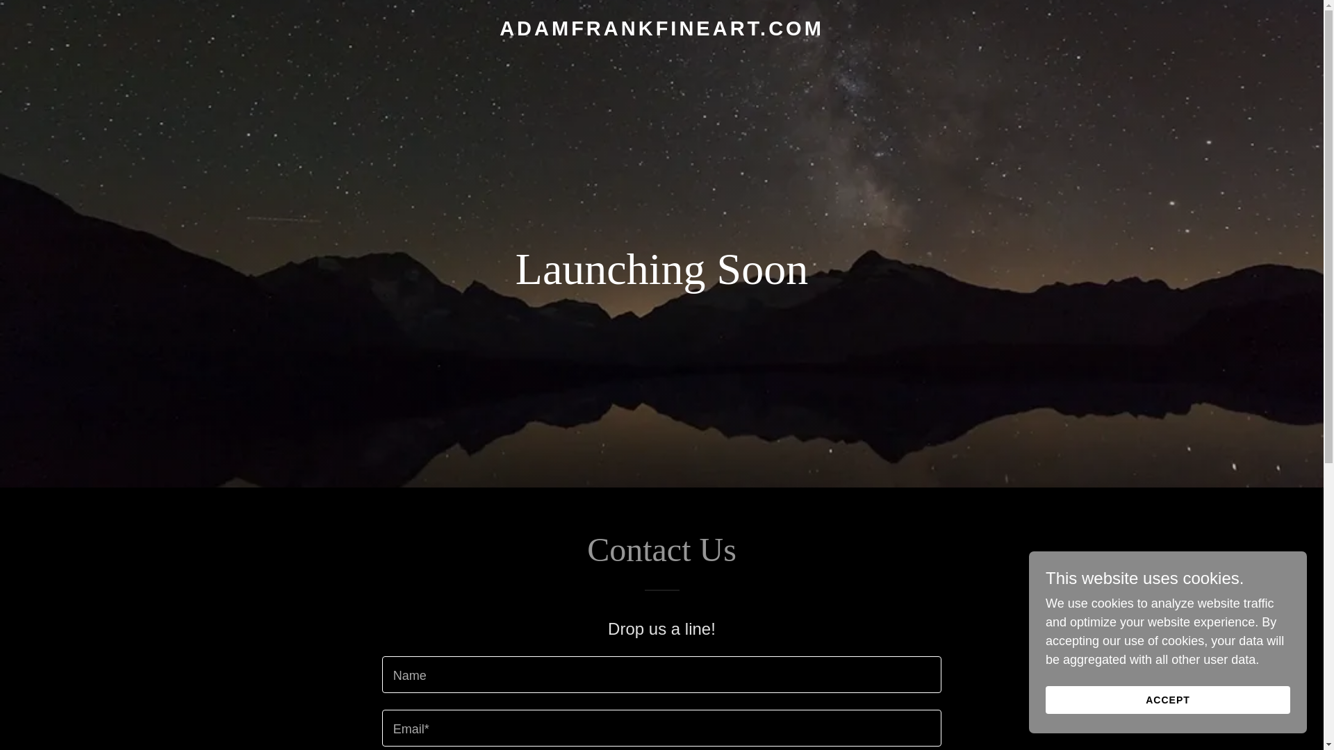 website screenshot of https://adamfrankfineart.com/