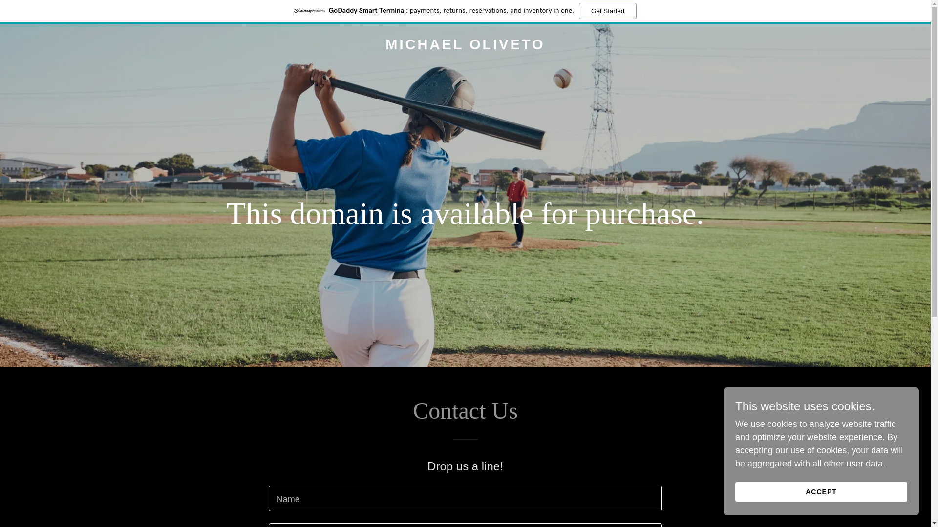 website screenshot of https://michaeloliveto.com/