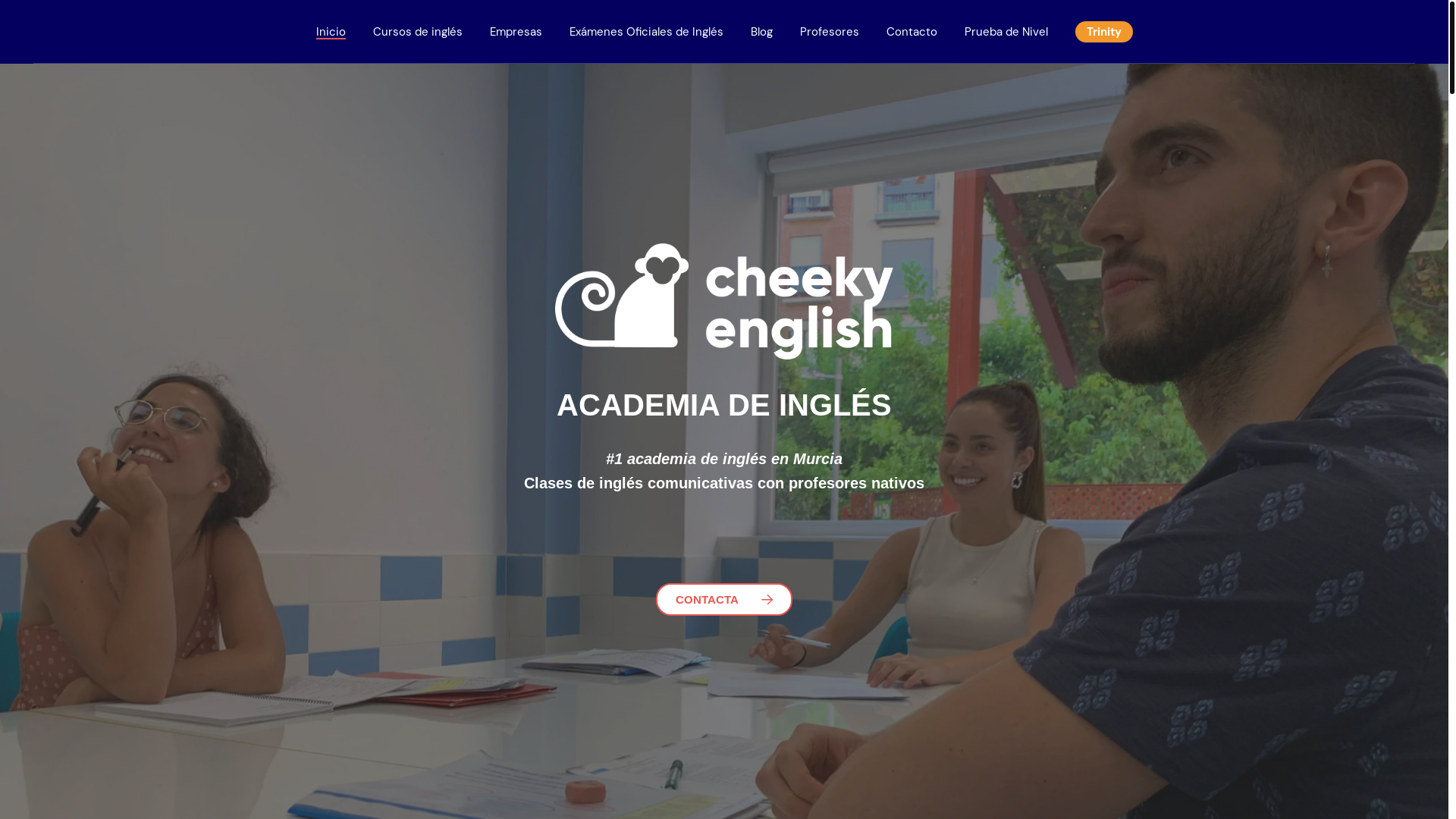 website screenshot of https://www.cheekyenglish.com/